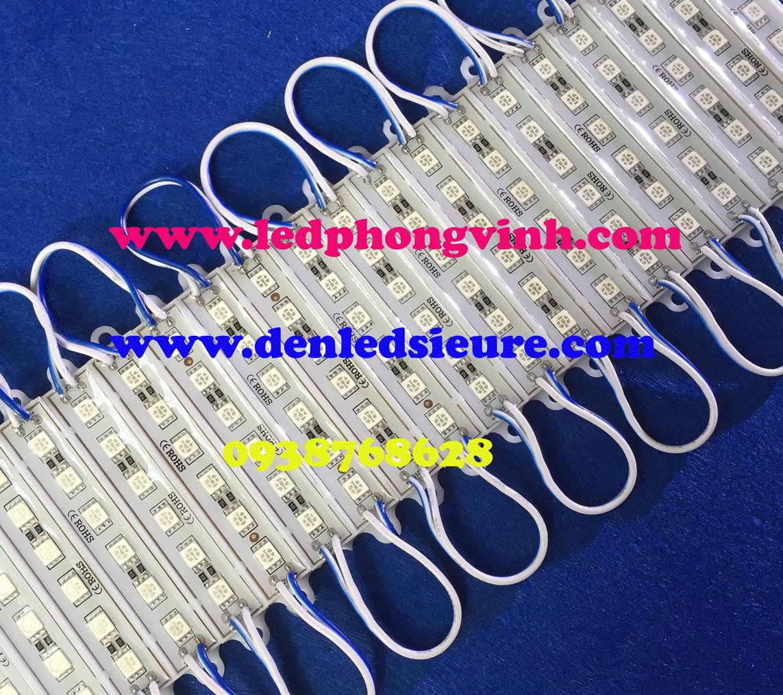 MODULE 6 BÓNG 5050 TRẮNG/VÀNG/ĐỎ/X.LÁ/X.DƯƠNG