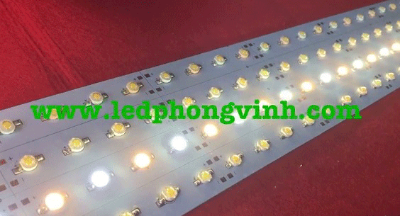 LED THANH 36 BÓNG 3W TRẮNG/VÀNG