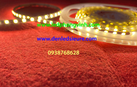 Led Dây 4000K 5mm 2835 Siêu Sáng VÀNG TRUNG TÍNH