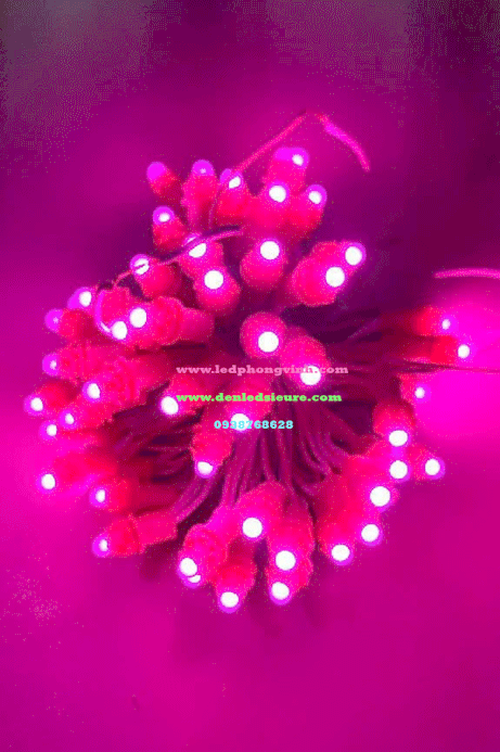 LED F5 12V HỒNG