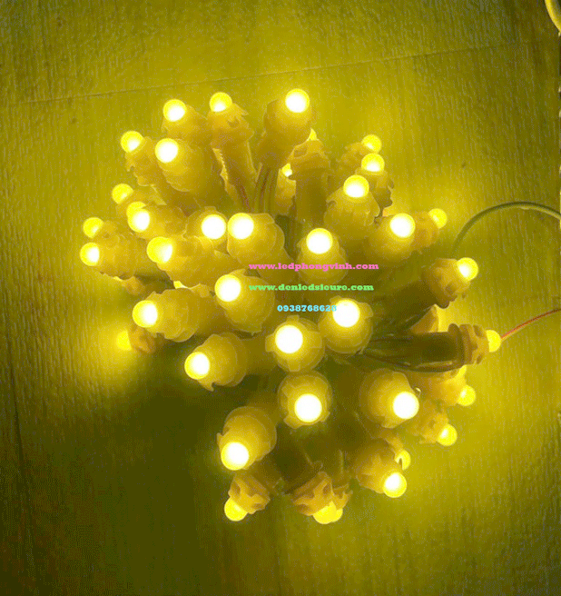 LED F5 12V VÀNG CHANH
