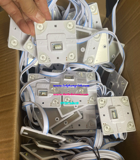 LED MODULE 220V NGOÀI TRỜI 4 BÓNG LÚP TRẮNG
