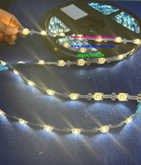 LED DÂY ZÍC ZẮC LÚP VÀNG 12V 10M (28 BÓNG)