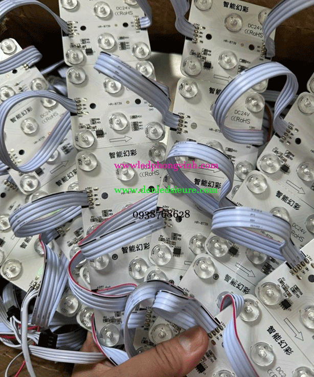  MODULE 6 BÓNG 24V FULL MÀU TRONG NHÀ