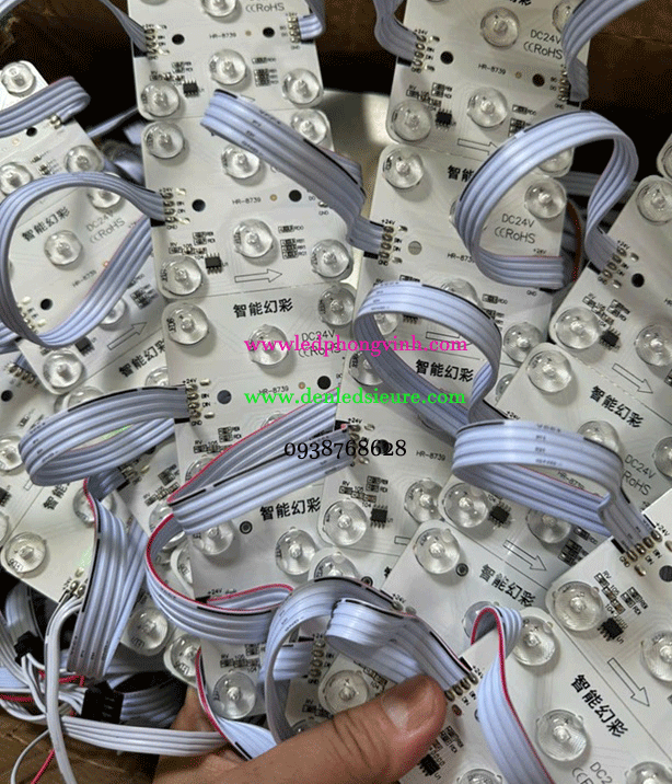 MODULE 6 BÓNG 24V FULL MÀU TRONG NHÀ